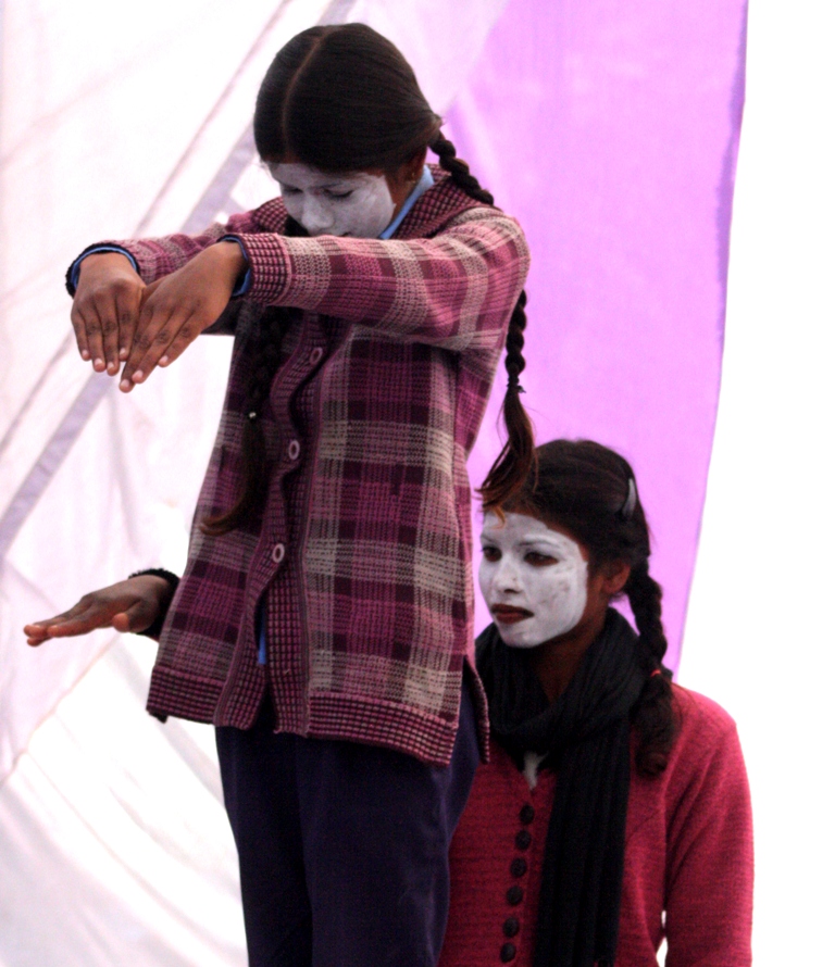 a forest after an apocalypse