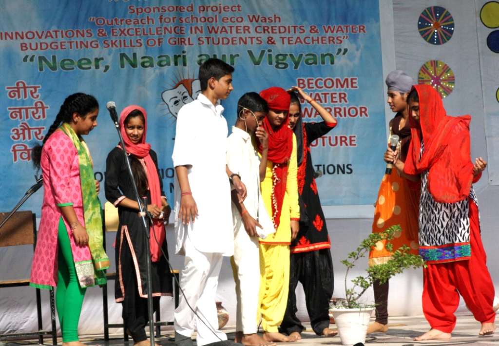 a forest after an apocalypse