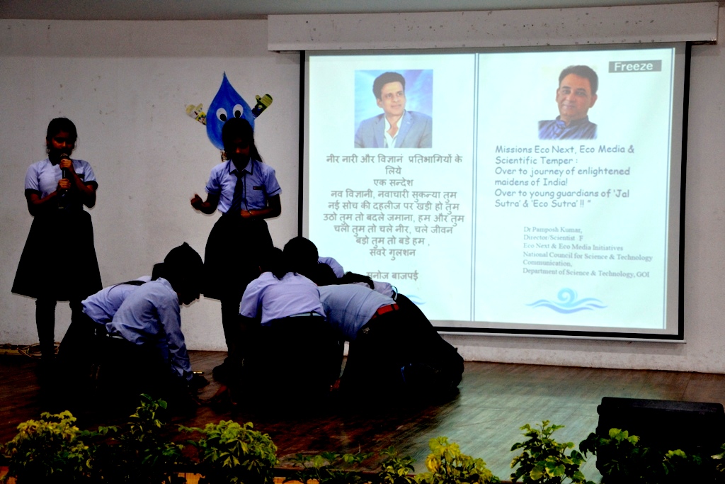 a forest after an apocalypse