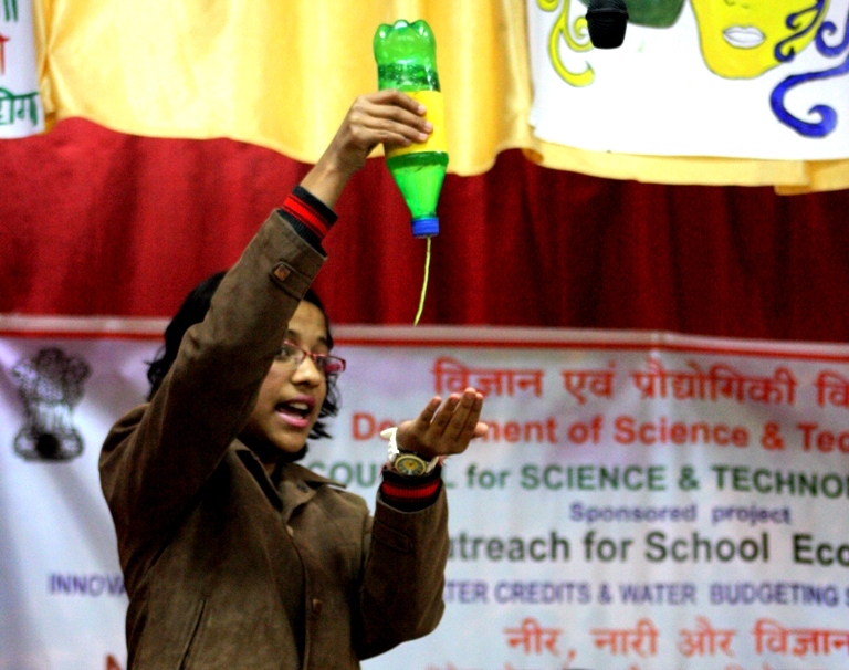 a forest after an apocalypse