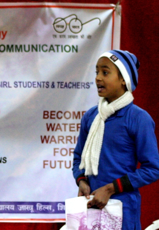 a forest after an apocalypse