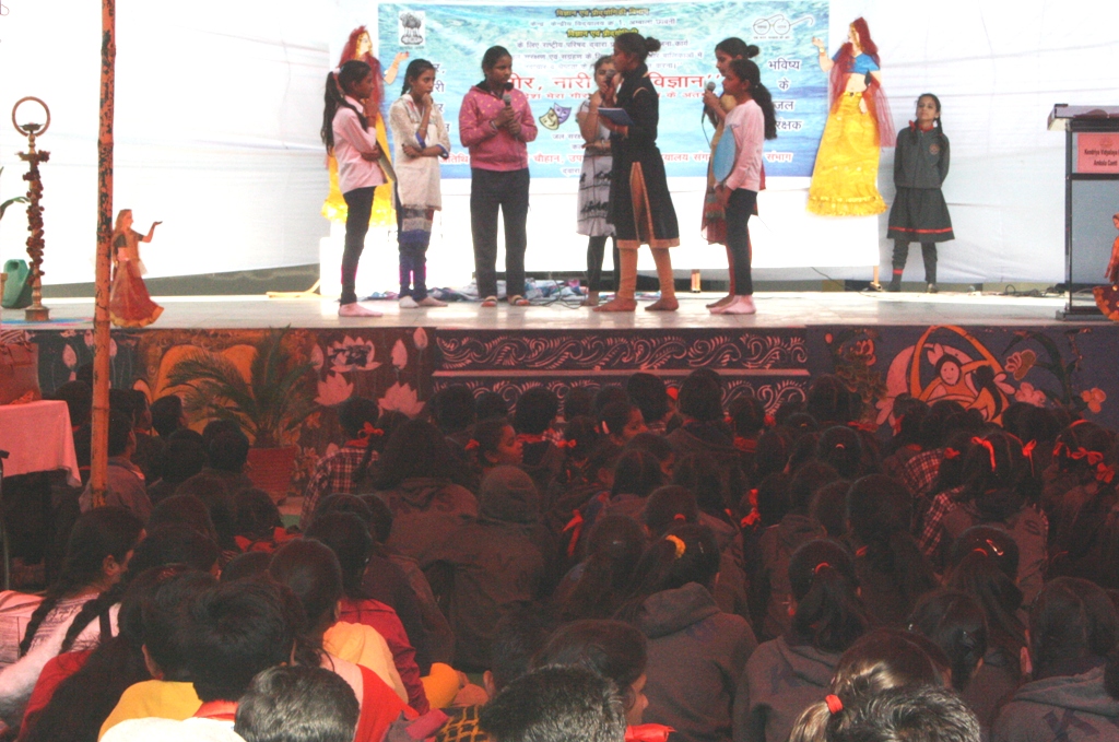 a forest after an apocalypse