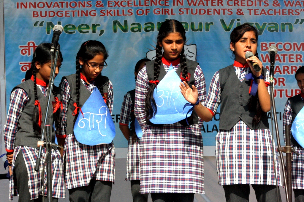 a forest after an apocalypse