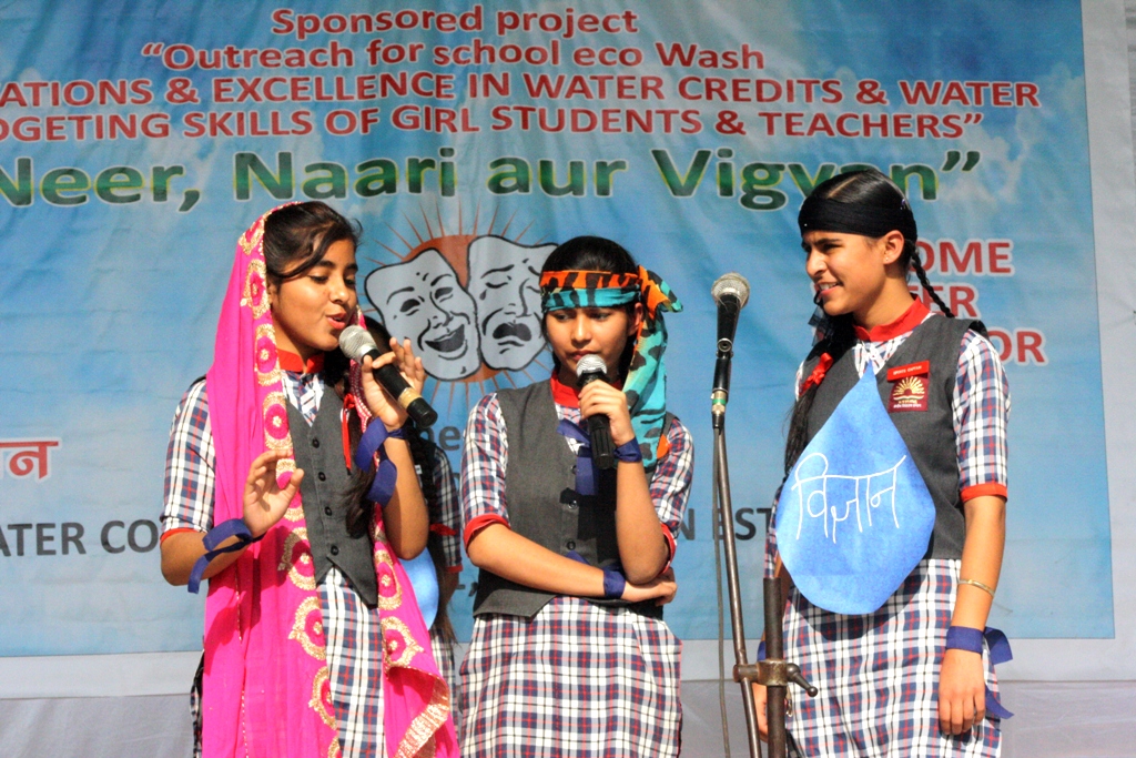 a forest after an apocalypse