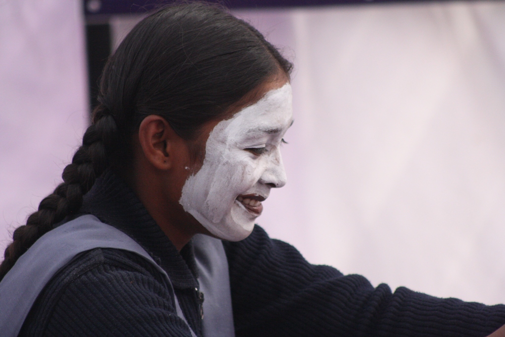 a forest after an apocalypse