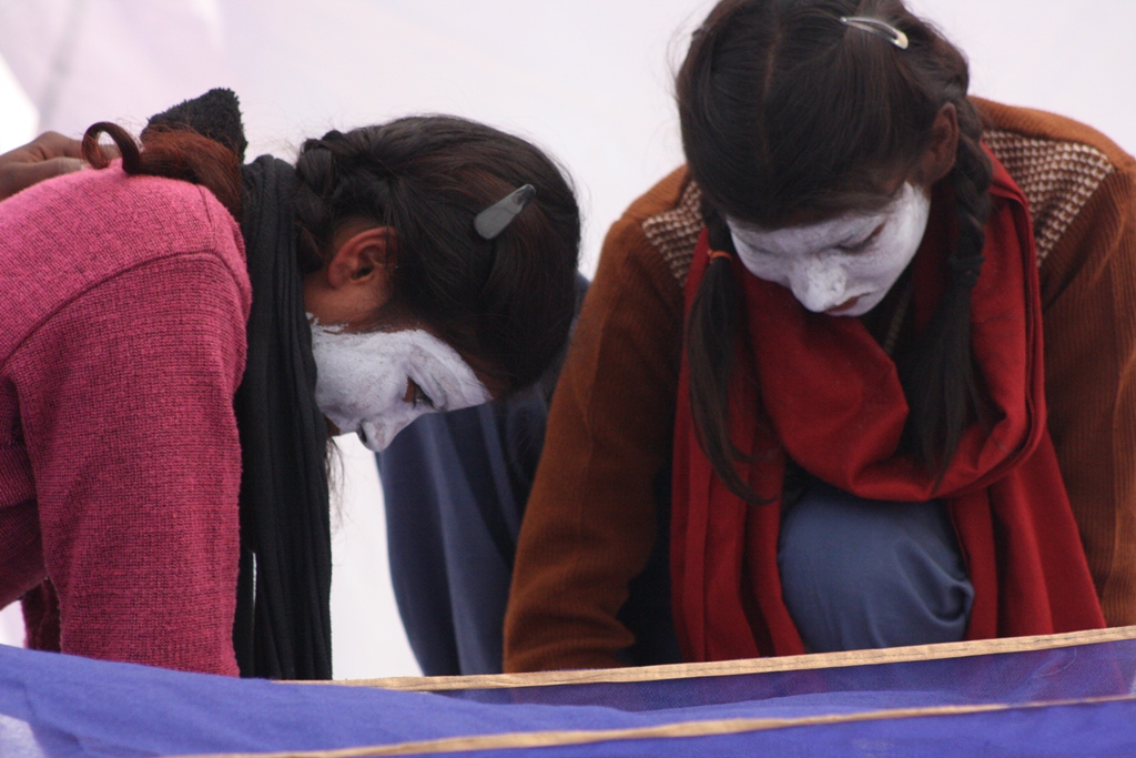 a forest after an apocalypse