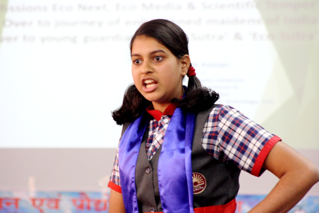 a forest after an apocalypse