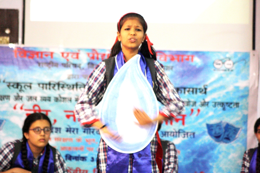 a forest after an apocalypse