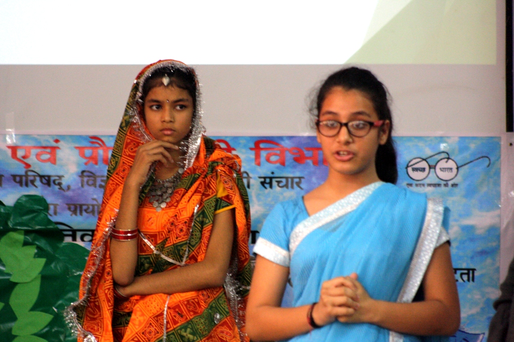 a forest after an apocalypse