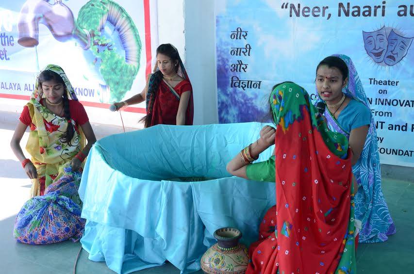 a forest after an apocalypse