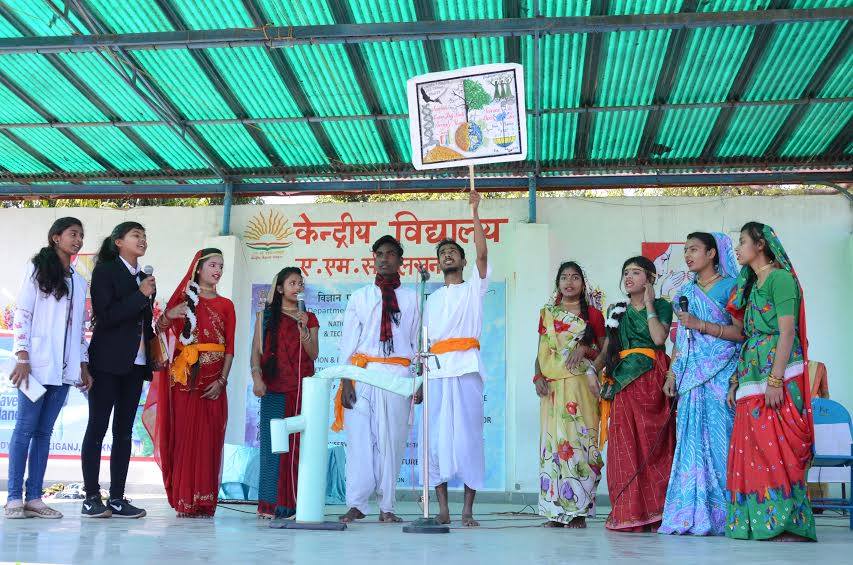 a forest after an apocalypse