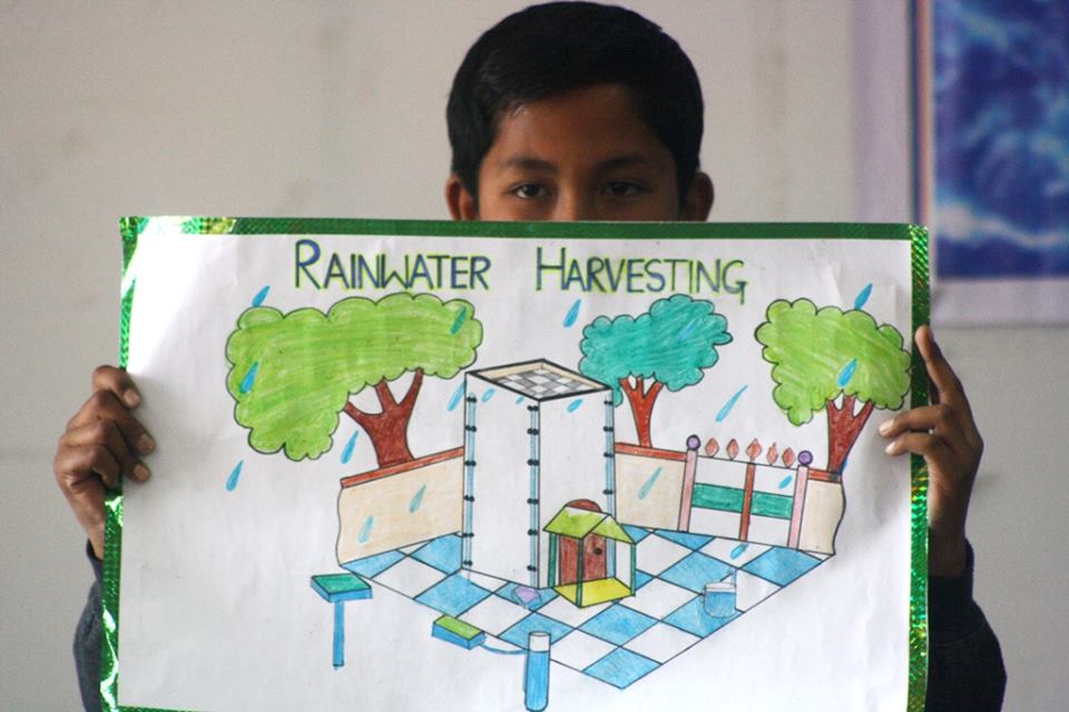 a forest after an apocalypse